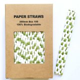 100 Pcs/Box Fruit Summer Party Green Coconut Paper Straws